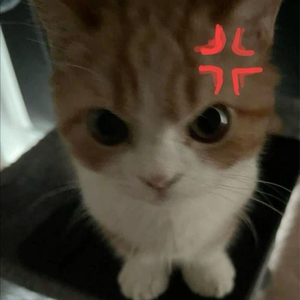 Key_shqne