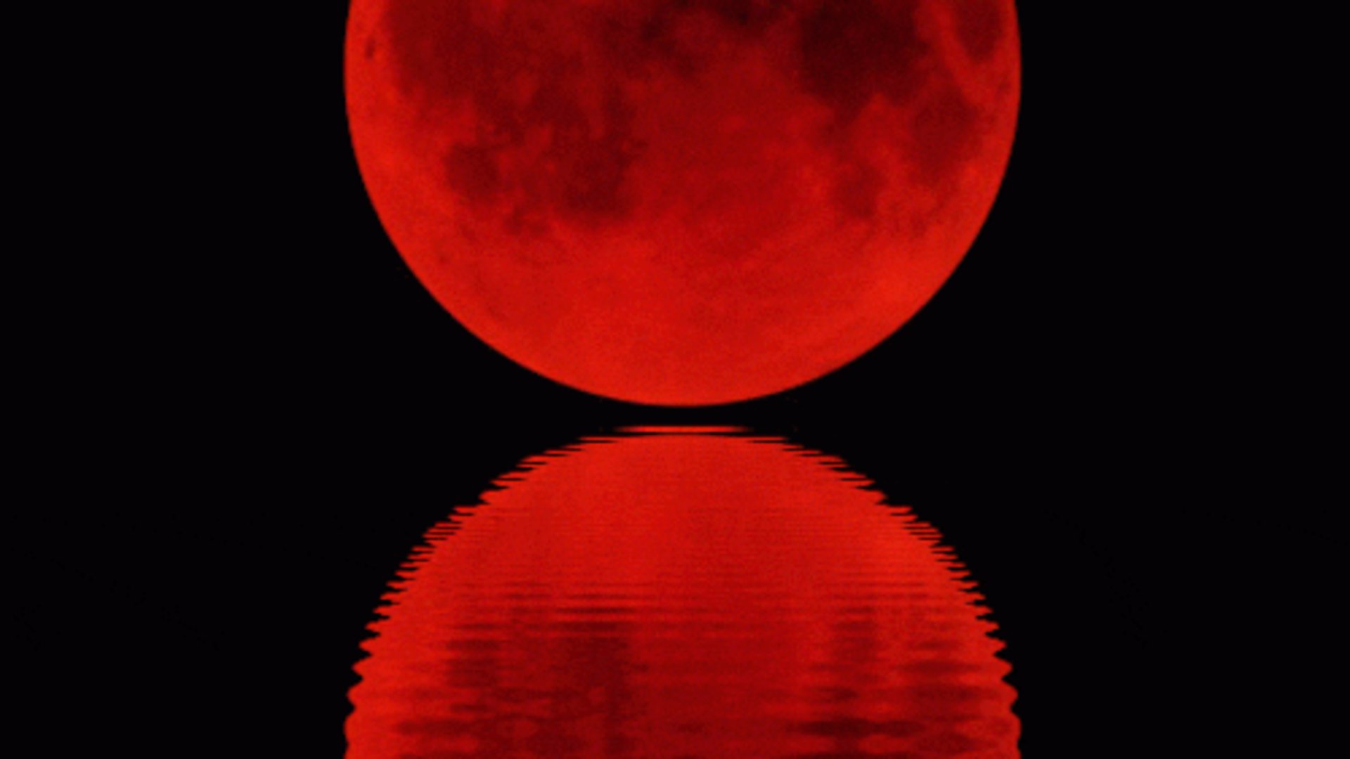 bloodmoonscott Offline Background