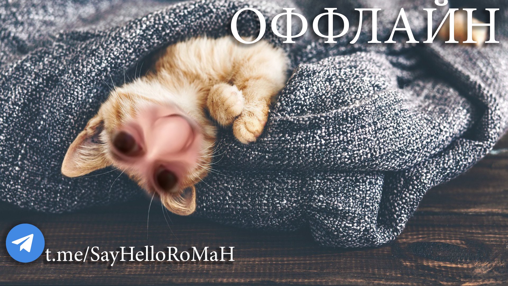 SayHelloRoMaH Offline Background