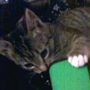 LunaRune91