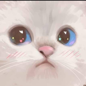 nekogatito