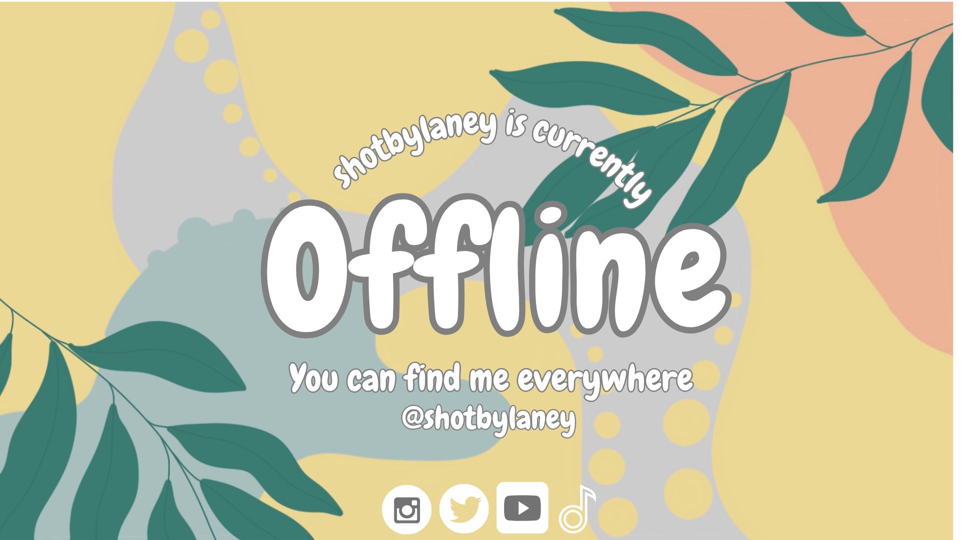 shotbylaner Offline Background
