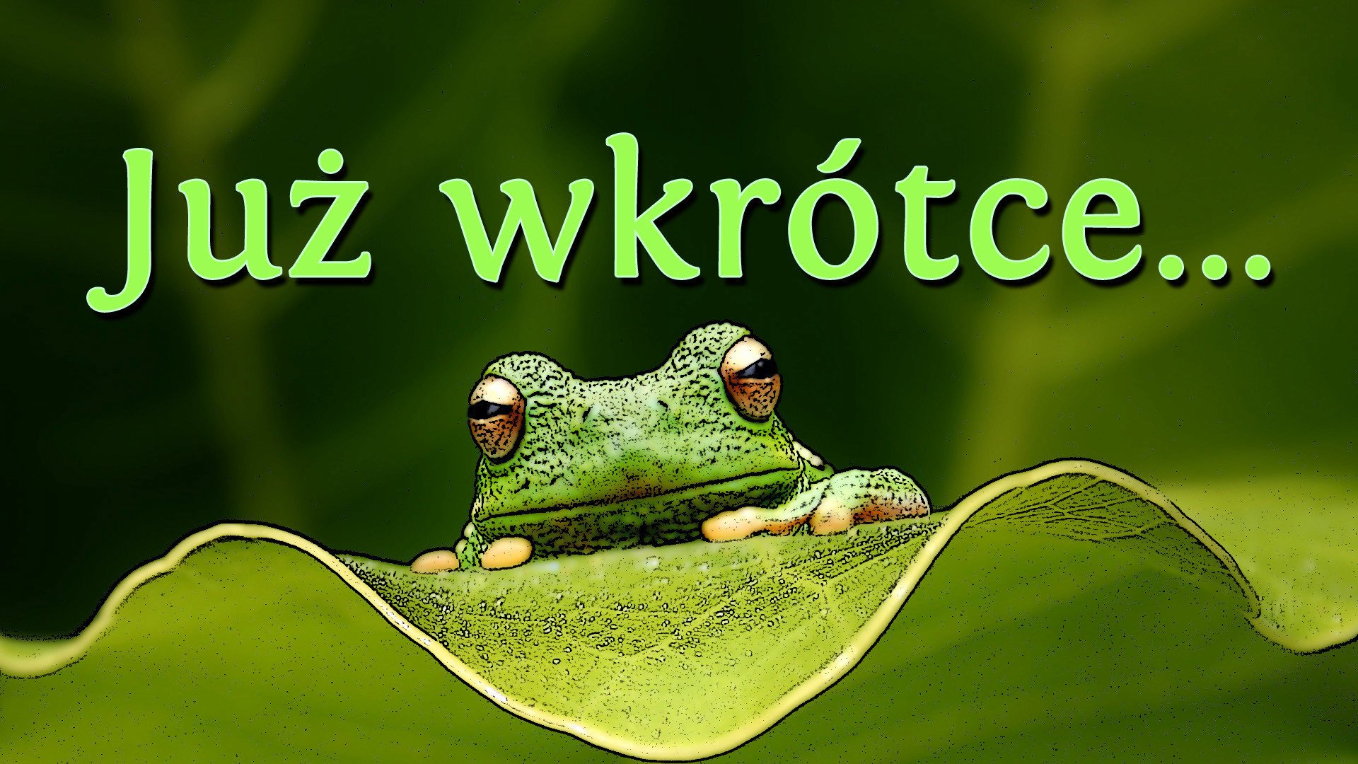 placek_plackowsky Offline Background