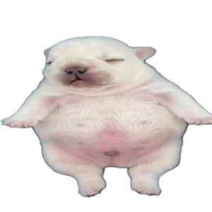 mentebtw