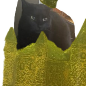 thecheesefox420