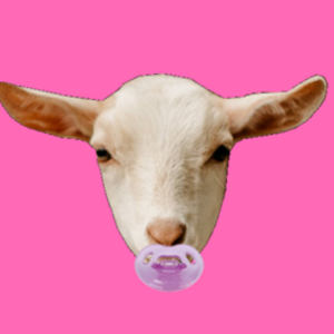 TheGoatChick