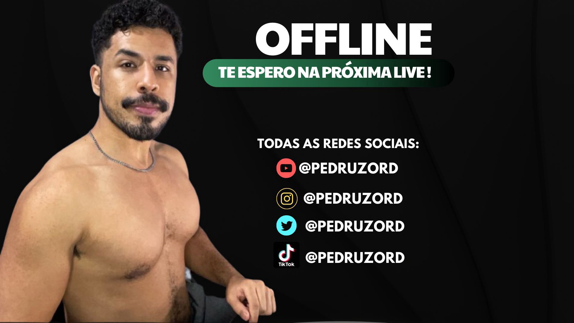 PEDRUZORD Offline Background