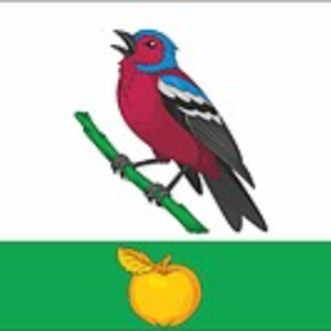 zyab1ikfree