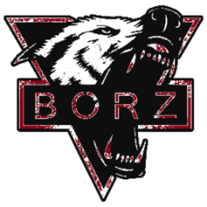 borz_oon