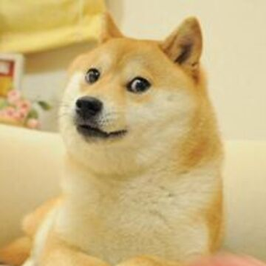 Dogge420