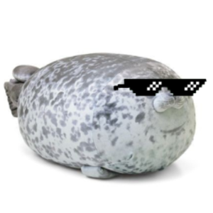 TheFoquitaSC
