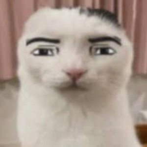 laciatq