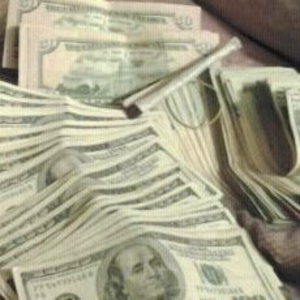 louievchinchilla