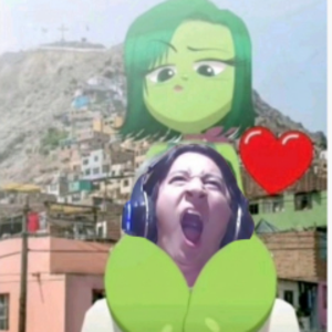 jujunini20