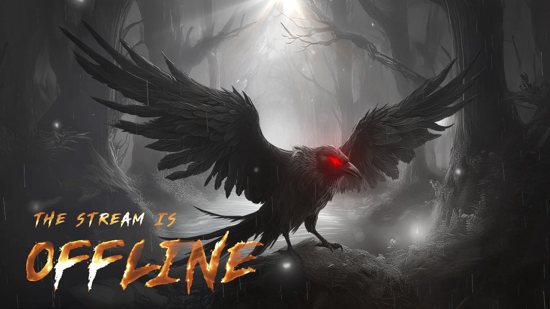 TheCurlyVerse Offline Background