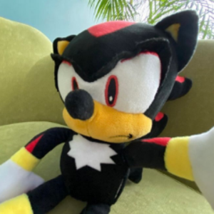 mangoxr