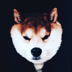 一低桑