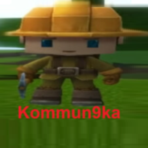 kommun9ka