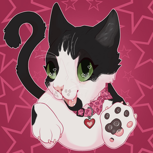 allycatxox