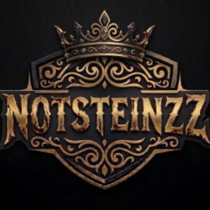 NotSteinzz