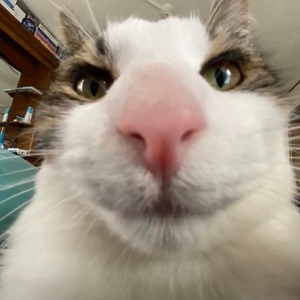 iickkyy