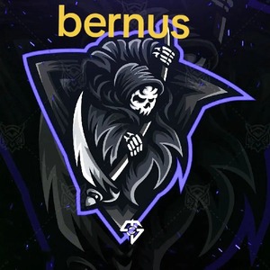 bernus2011