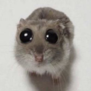 IamHamster84