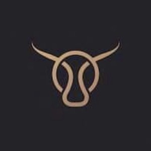 bull_in