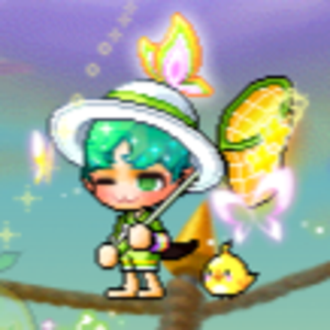 Tollushi