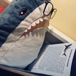 shark_joker7