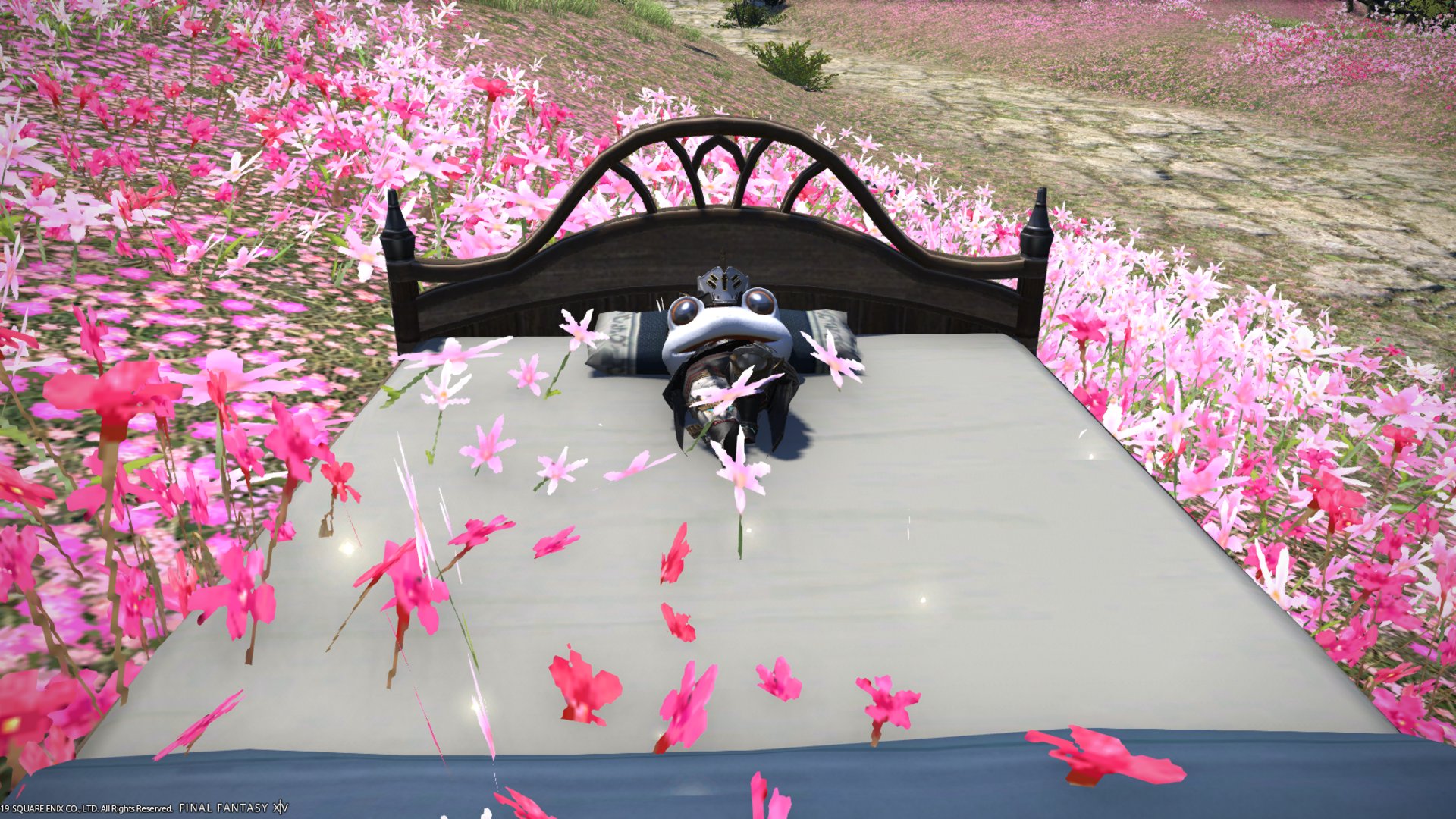 筋トレ象さん Offline Background