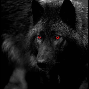 litodahound