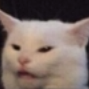 BittyCats