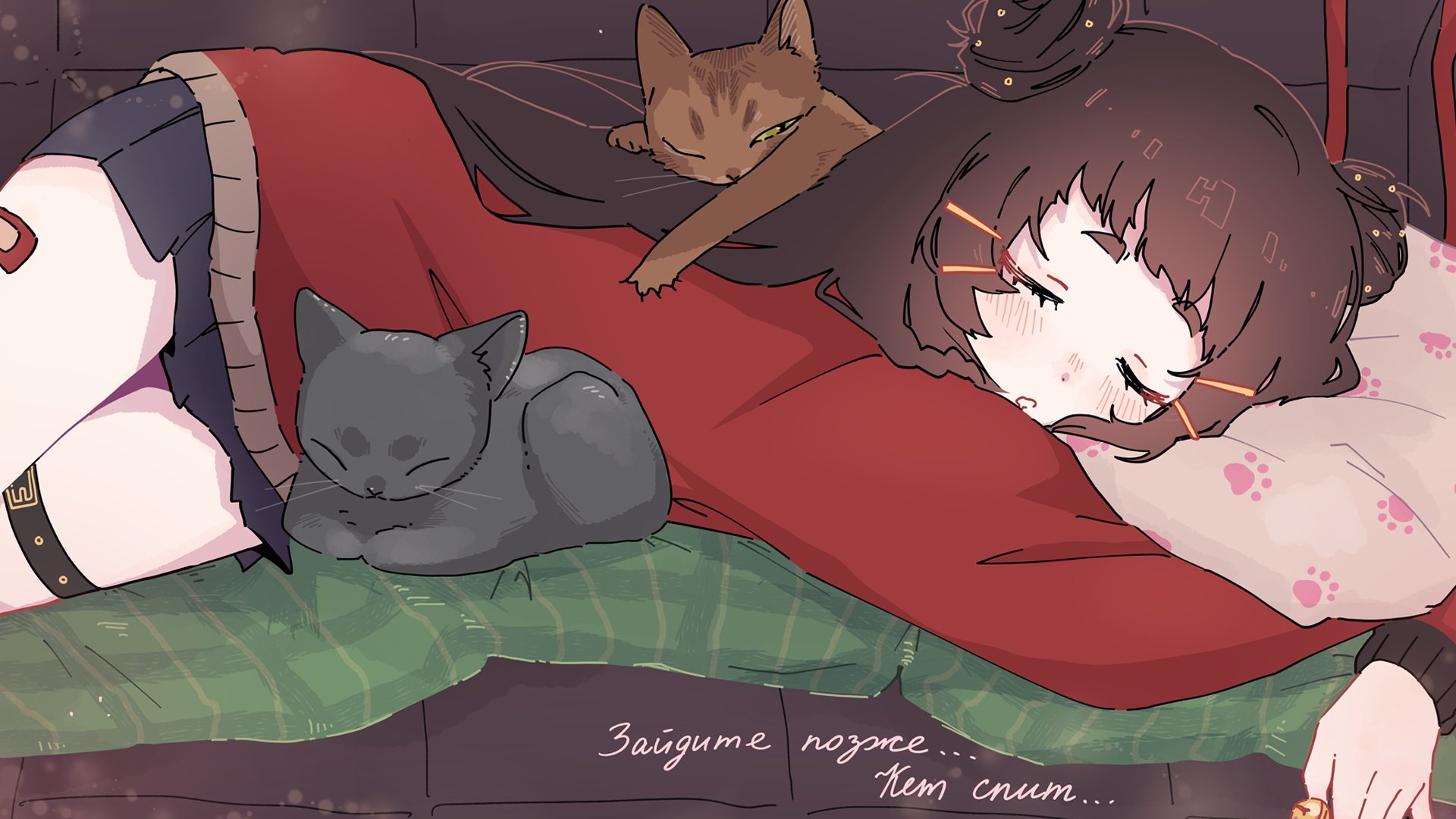 Catyussha Offline Background