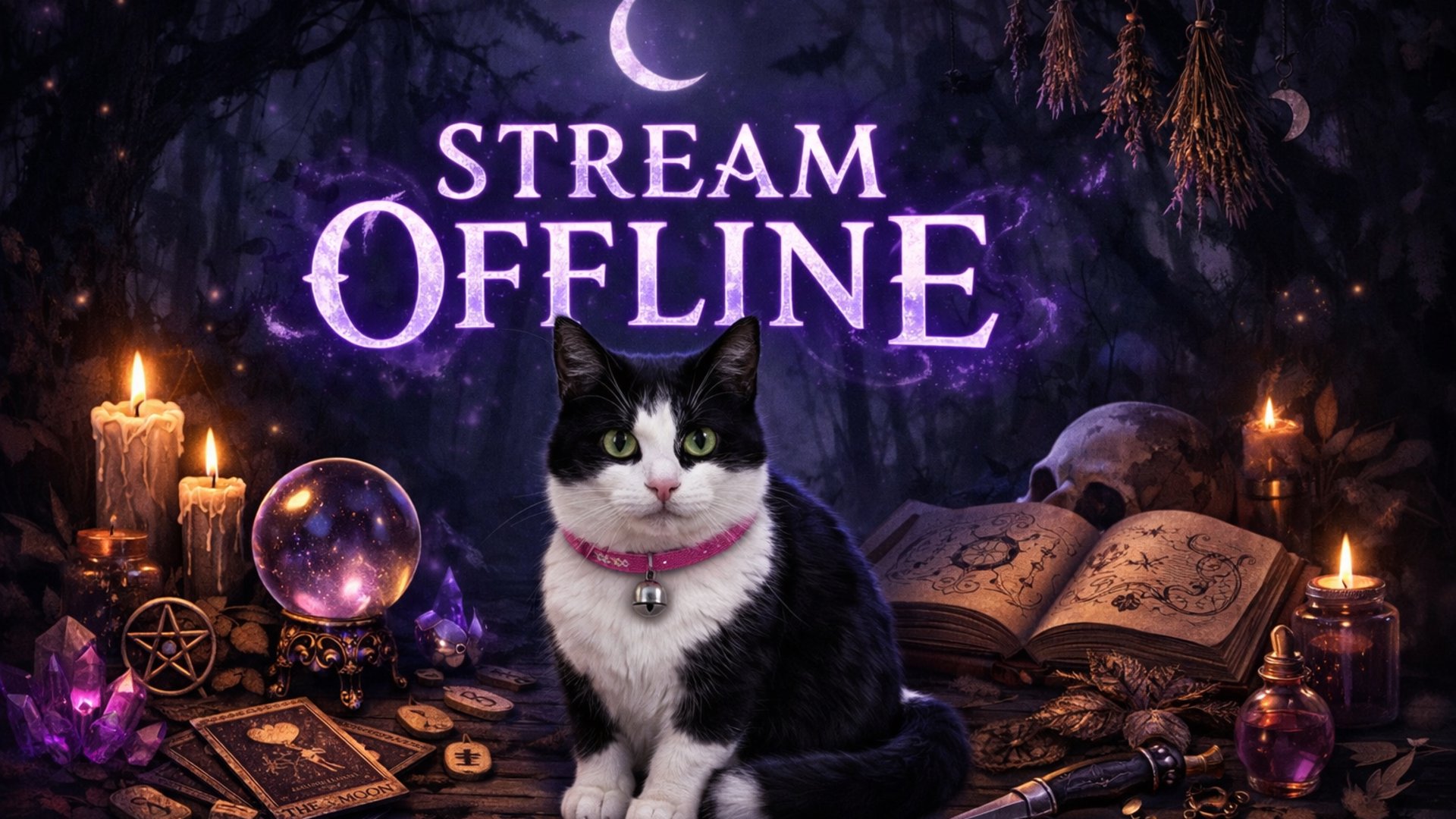 Doo842 Offline Background