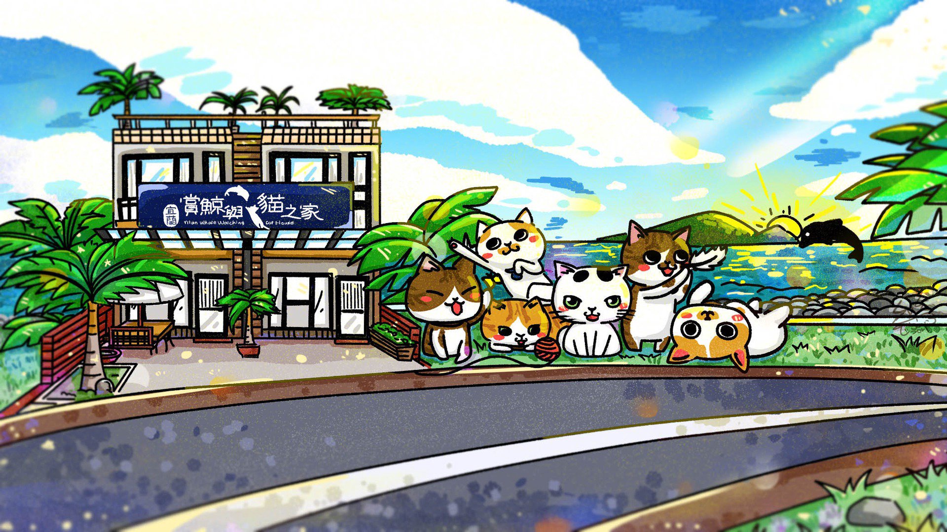頭城鯨嶼貓 Offline Background