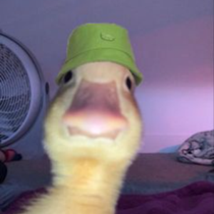 TK_CMN