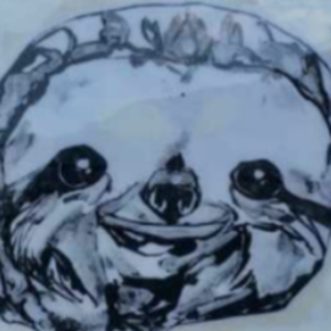 slothonholywater