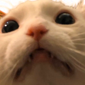 Umbre