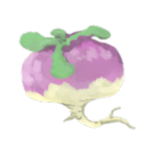 LeBonNavet