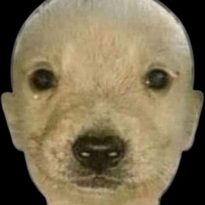 Paerinho