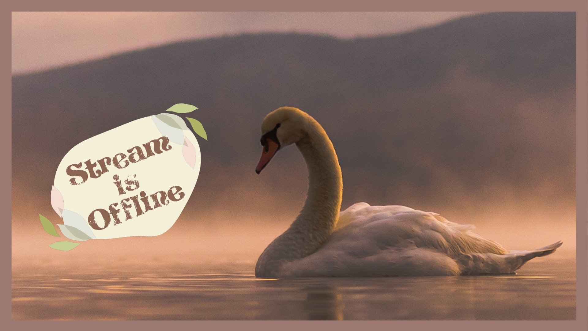 Schwannetta Offline Background