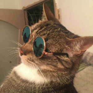 Giovanyy_