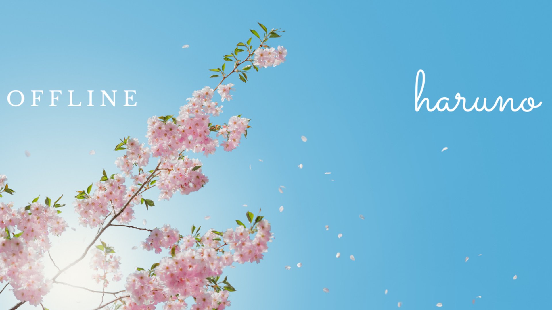 春乃さん Offline Background