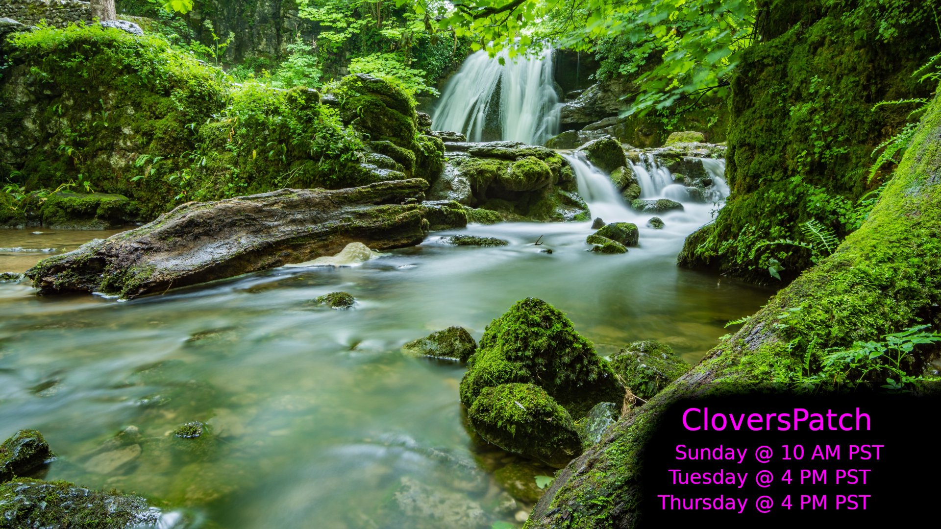 CloversPatch Offline Background