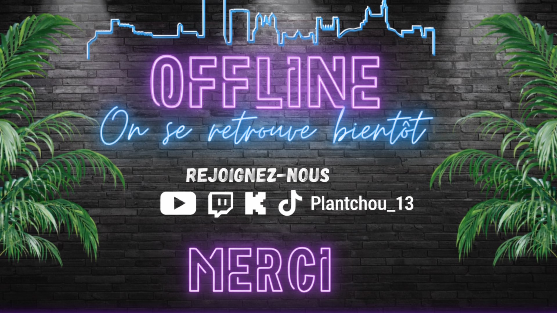plantchou_13 Offline Background