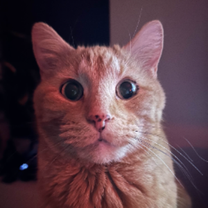 sirfireGD