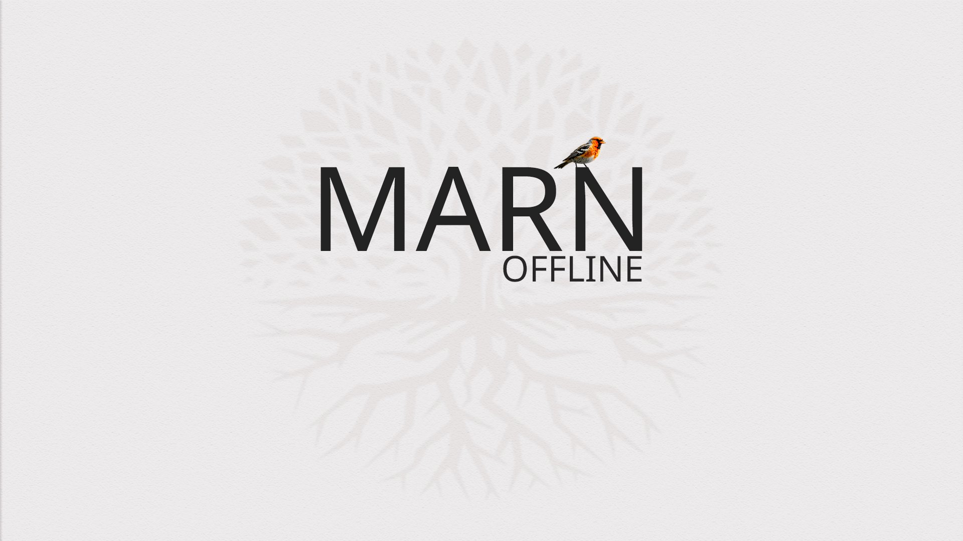 MARN1K Offline Background
