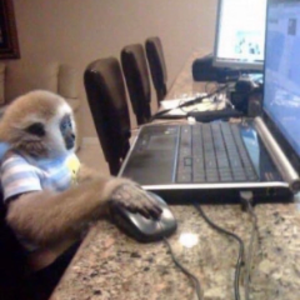 SJ_Computer