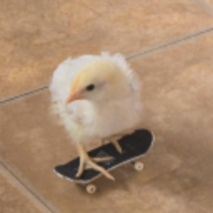 nate_qwq